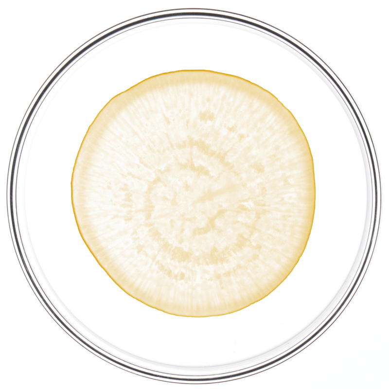 Patented Organic Maca Extract