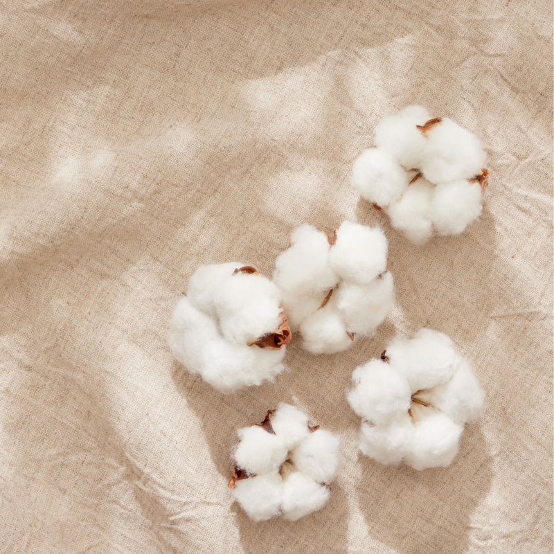 Cotton Flower