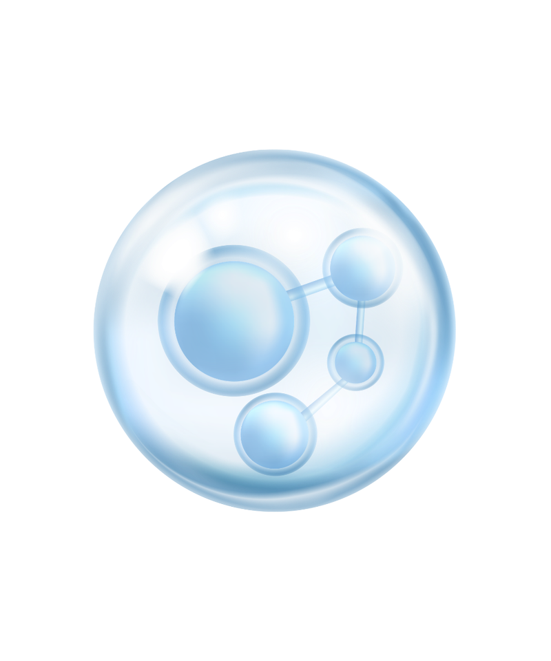 Amino Acids