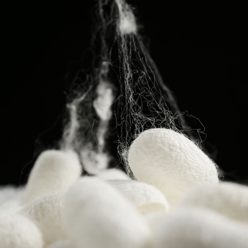 Hydrolyzed Silk