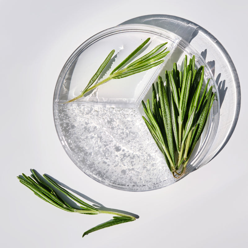 Tea Tree Extract