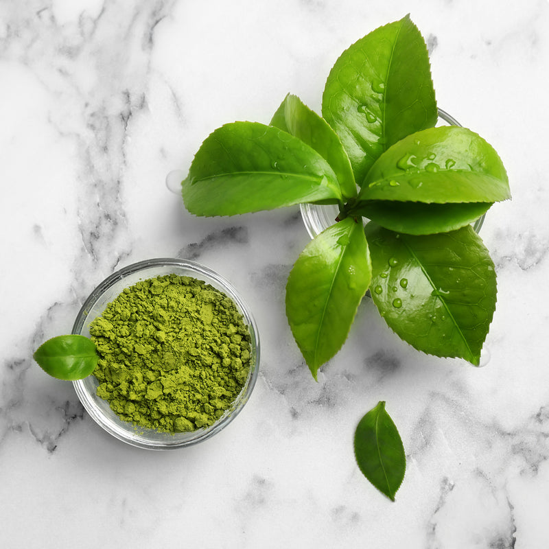 Green Tea Extract