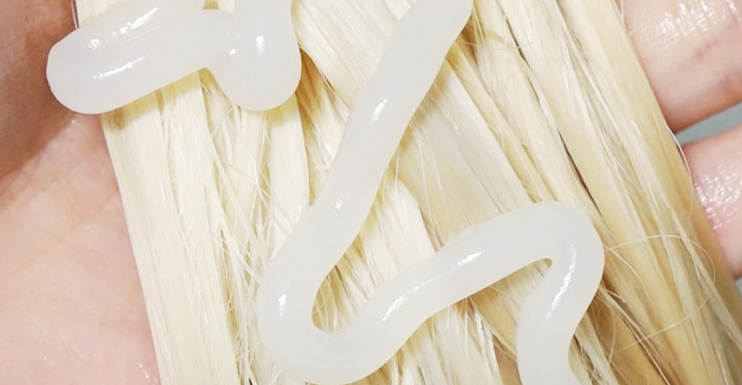 Can dry, brittle strands regain their elasticity?