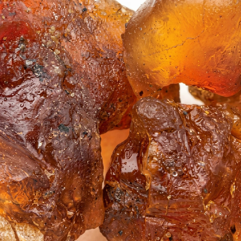 Commiphora Mukul Resin Extract