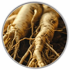 Ginseng & Pumpkin Extracts