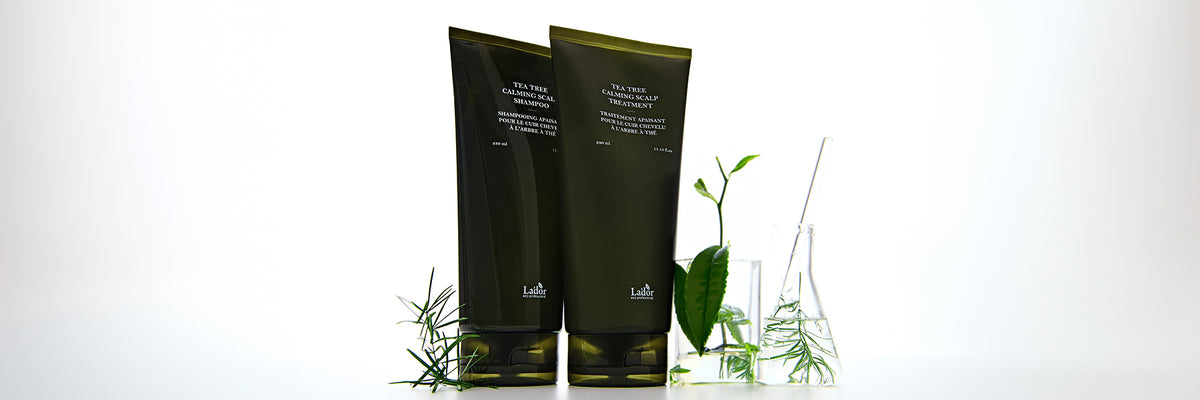 TEA TREE
