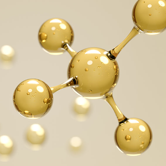Hydrolyzed Proteins