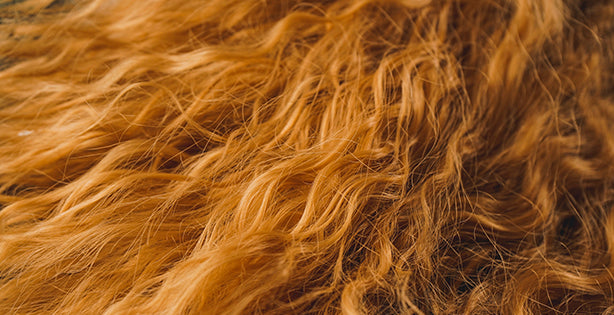 Can compromised hair regain a smooth surface without heavy buildup?