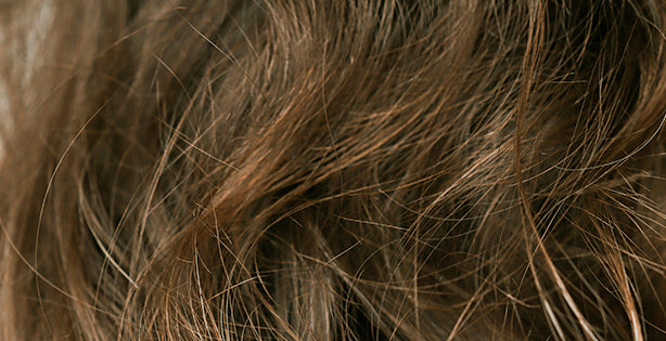 Why does my hair feel dry and rough even after washing?