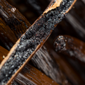 Adopt AU FEMININ, a close-up detail of a vanilla bean showing its rich, dark texture