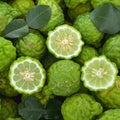 Adopt Au Pluriel, a top-down view of fresh, vibrant green bergamot fruits, some cut in half to show the texture
