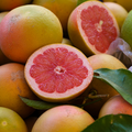 Adopt Blue Suit product image showing a close-up of several grapefruits, some whole and some cut in half,