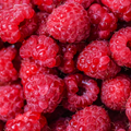 Adopt Gipsy Karma product image showing a close-up detail of fresh, vibrant red raspberries with a textured surface