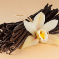Adopt Golden Queen vanilla pods and a vanilla flower, showcasing the natural ingredients of the product