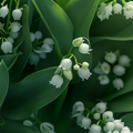 Adopt Muguet Coquet, a close-up view of delicate white lily of the valley flowers with lush green leaves