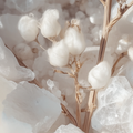Adopt Musc Blanc fragrance with cotton flowers and white crystals, highlighting the soft and pure texture of the scent