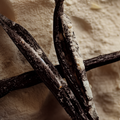 Adopt Nuit Parisienne vanilla pods with white powder, showcasing the texture and aromatic essence of the ingredient