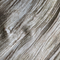 Adopt Oh Mon Capitaine product image showing a detailed texture of wood grain, emphasizing natural patterns and lines