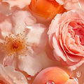 Adopt Peachy Beachy Body & Hair Mist, close-up of pink roses and peaches floating in water with droplets