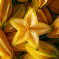 Adopt Sexy Frenchy, a close-up detail of a star fruit slice, showcasing its vibrant yellow color and unique star shape