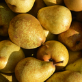 Adopt Sublimissime product image showing a group of ripe pears with a warm, natural light