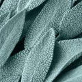 Adopt Urban Chic fabric detail showing the soft, textured surface of the material