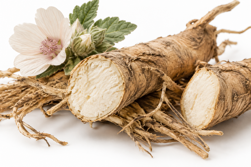 Althaea Officinalis Root Extract