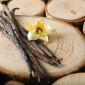 Bioheal BOH PROBIODERM Collagen Volume Lip Balm with vanilla pods and a vanilla flower on a wooden surface,