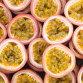 Bioheal BOH PROBIODERM Collagen Volume Lip Balm, top view of passion fruit texture