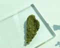 Pestlo Spicule Reborn Peeling Mask, a rich green textured mask on a clear acrylic block